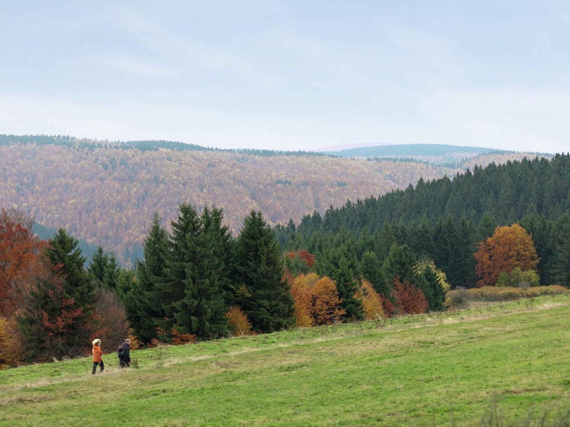 Apartment Near The Forest Frauenwald Exterior photo